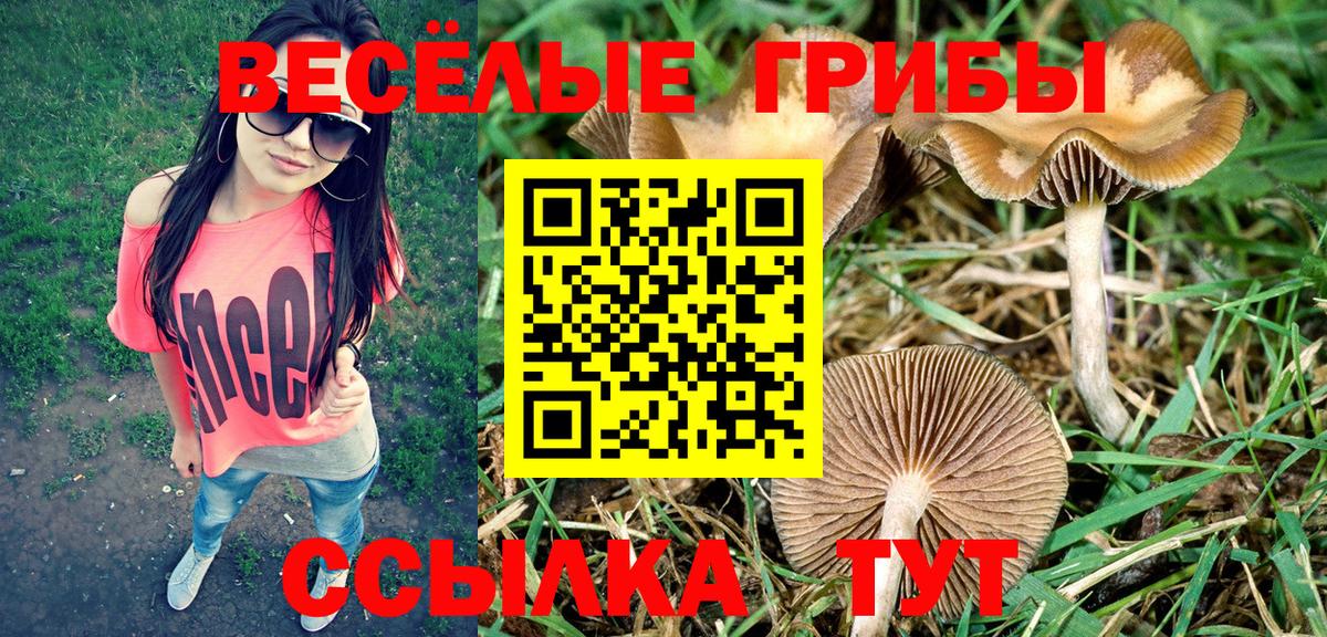 Галлюциногенные грибы Magic Shrooms Сергиев Посад
